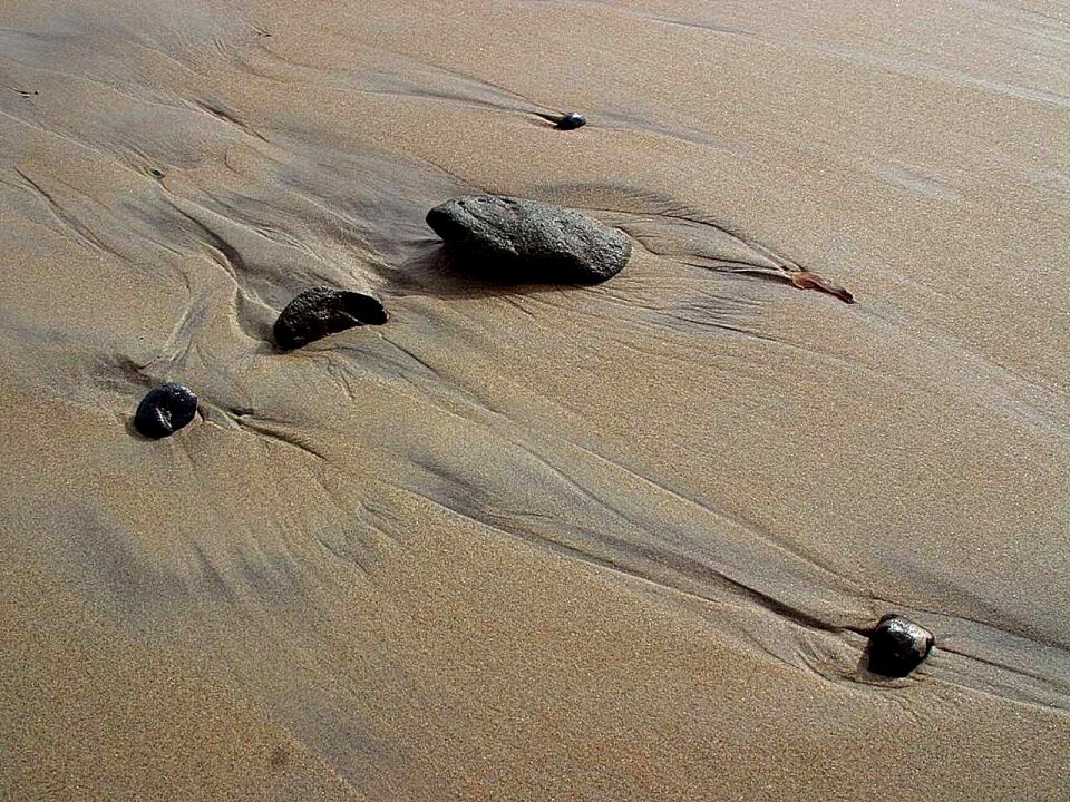 Landscapes nature