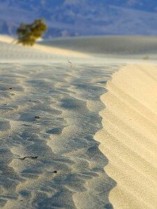Landscapes nature
