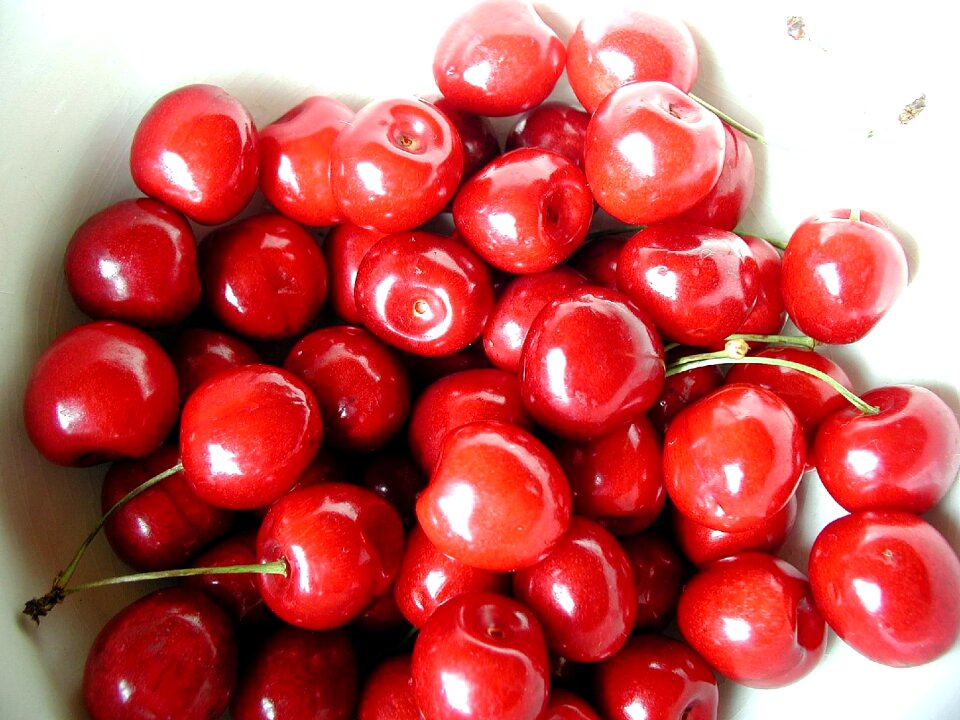 Fruits plants flora