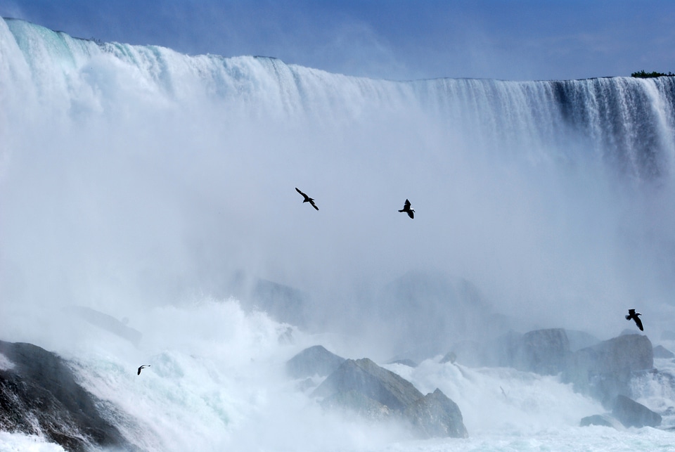 Canada ontario mist photo