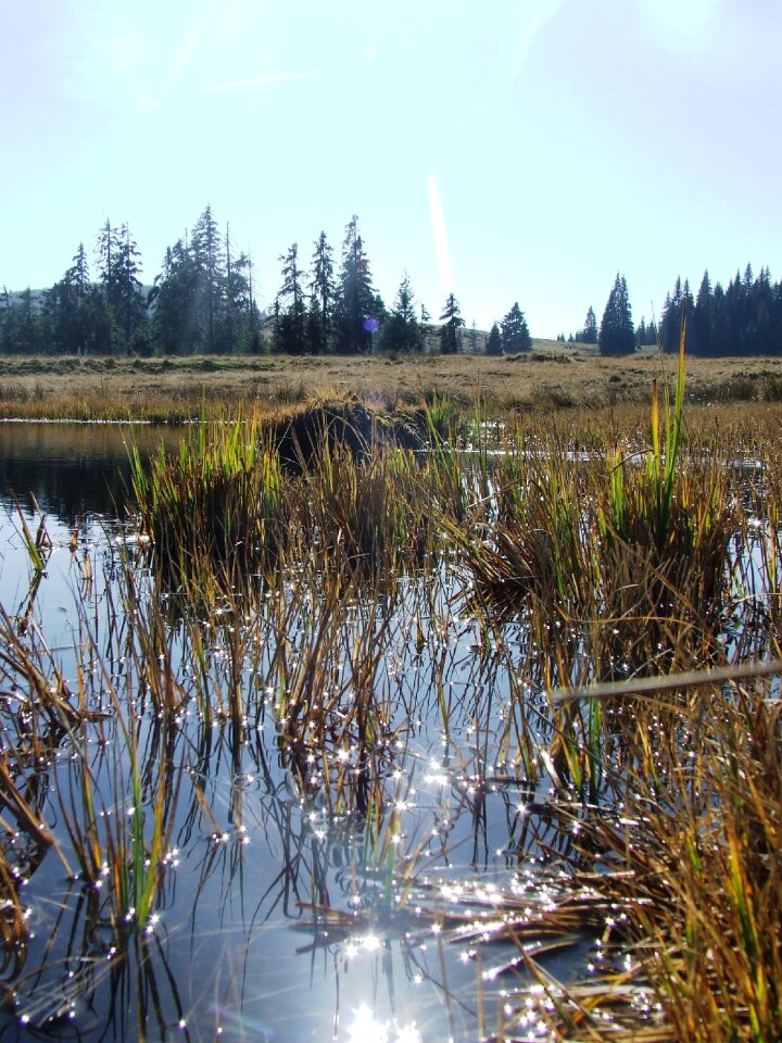 Padis karst plateau