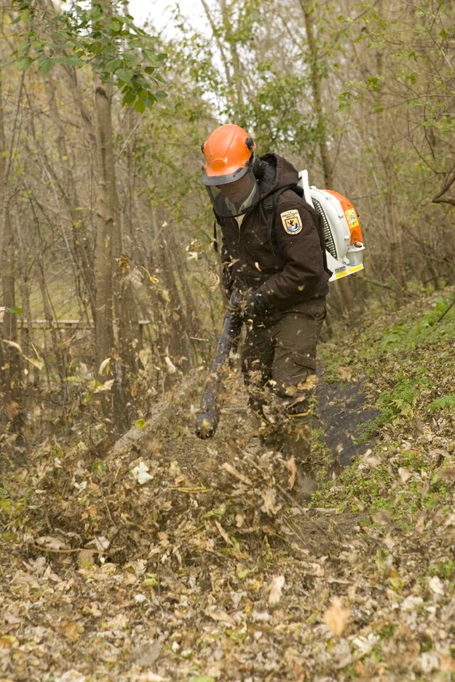 Leaf using employee