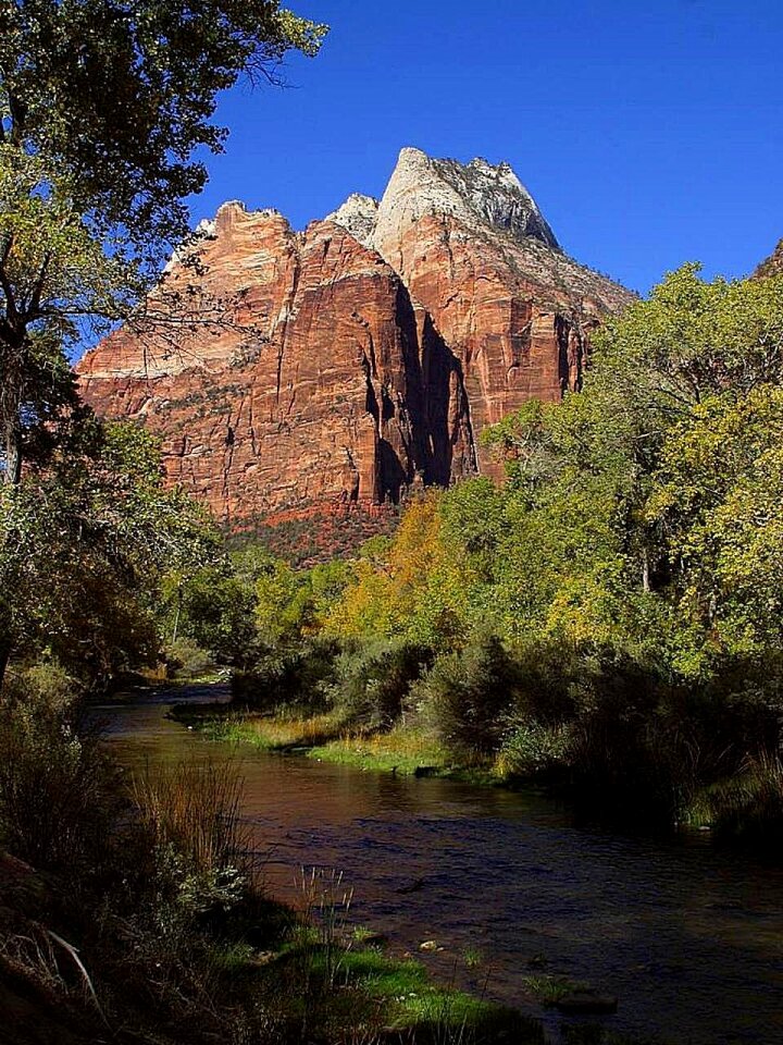 Stream creek landscapes