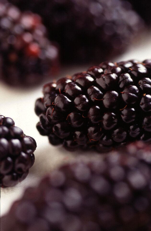 Fruit blueberries fruits