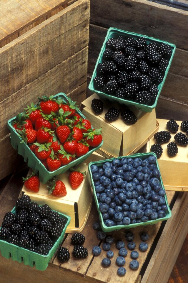 Fruits plants flora