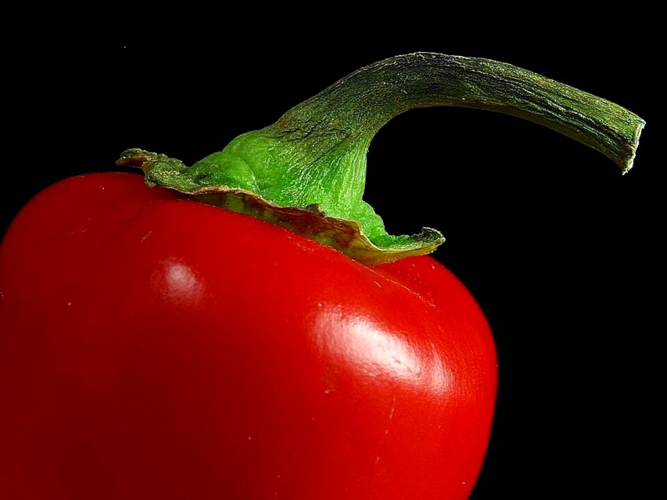 Pepper vegetables plants