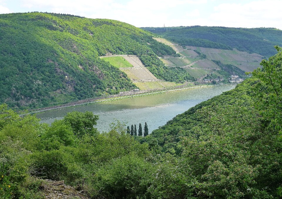 Wine terraces germany river landscape