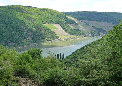 Wine terraces germany river landscape