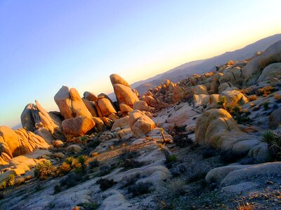 Sunset nature desert photo