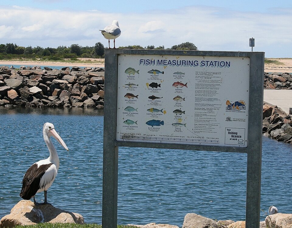 Australia sea ocean
