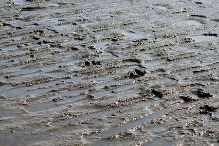 Mud dirty wadden sea