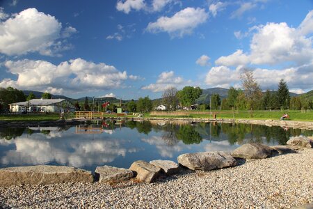 Pond water reflection