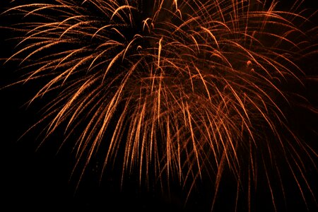 Fireworks explosion laburnum