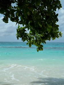 Caribbean beach nature