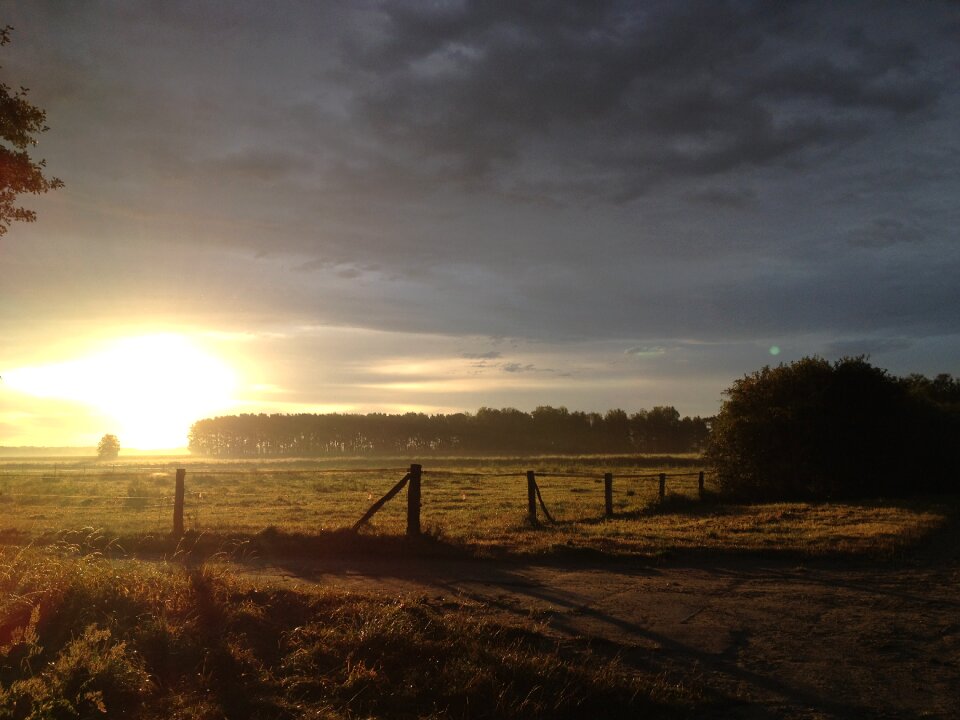 Sun reported sunrise