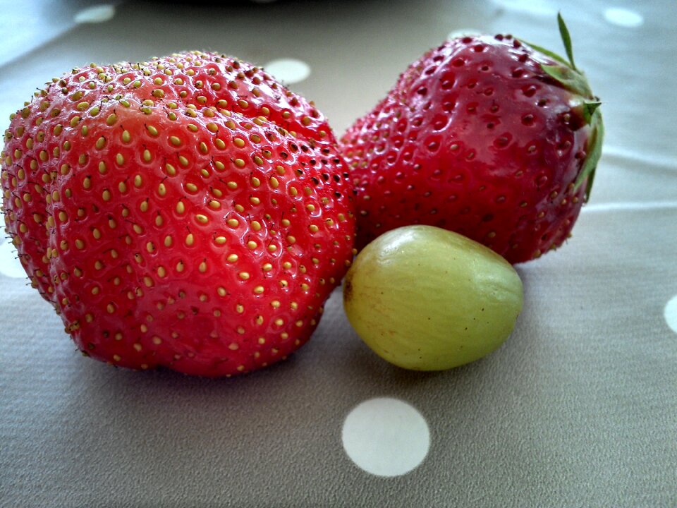 Grape delicious fruit