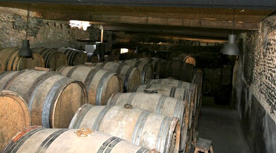 Calvados cellar oak photo