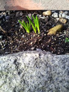 Spring life nature