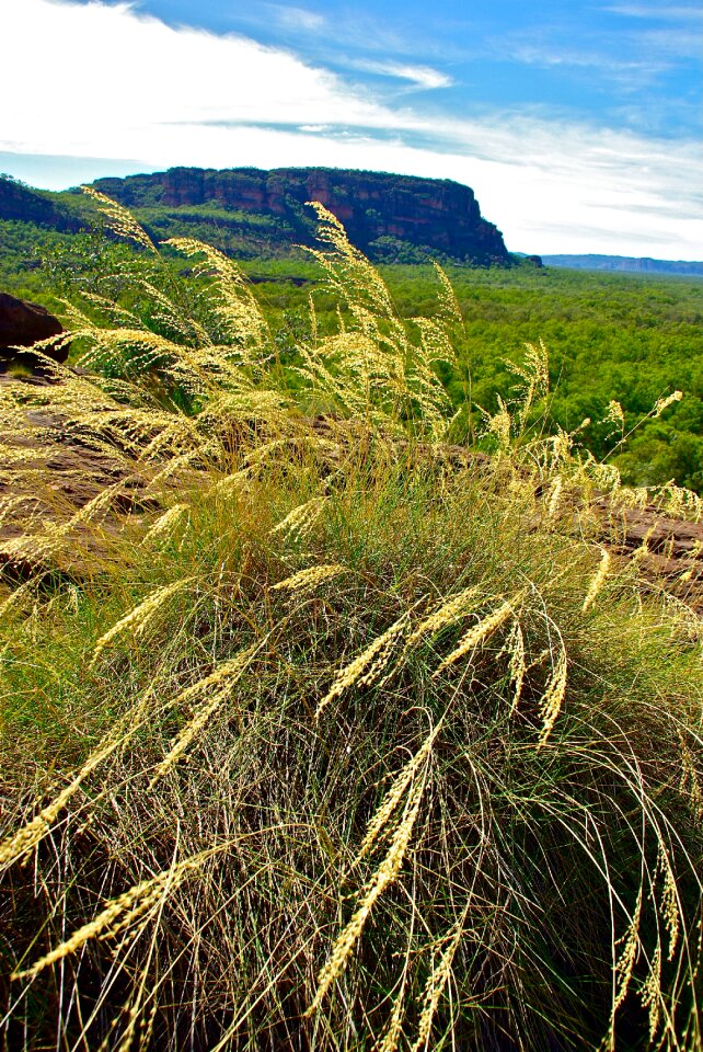 Scene countryside environment photo