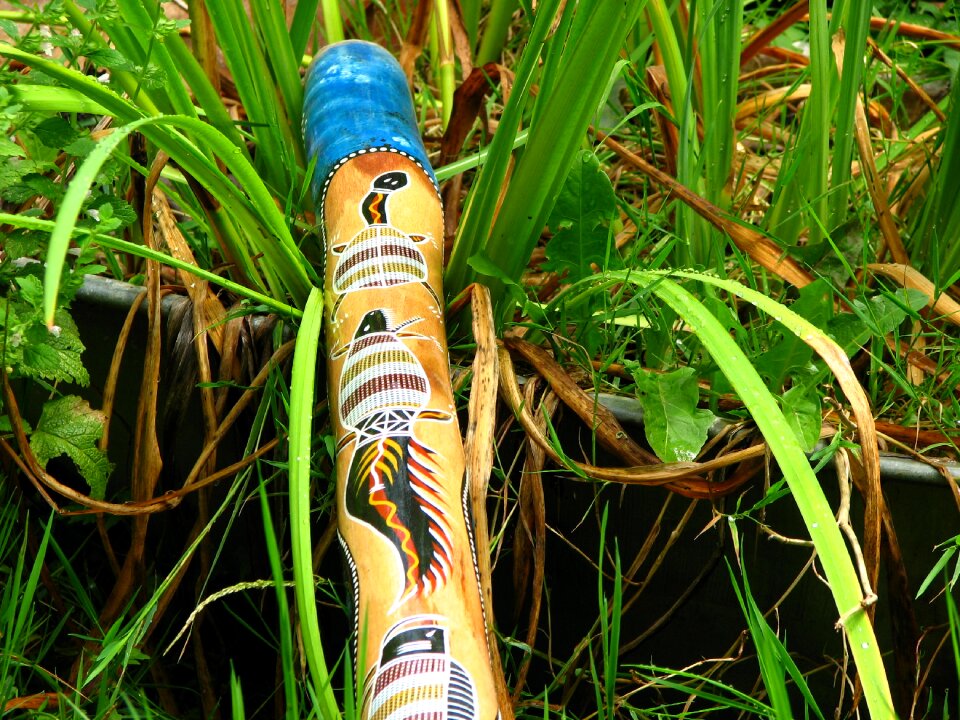 Australia wood painting