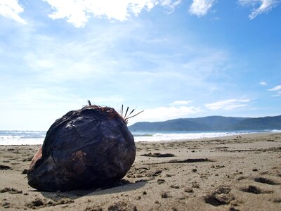 Philippines tropical sea photo