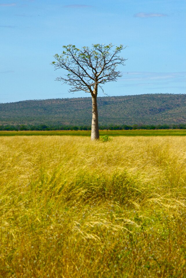 Nature rural wilderness