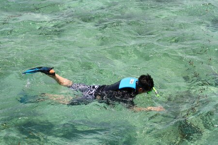 Snorkeling details sea