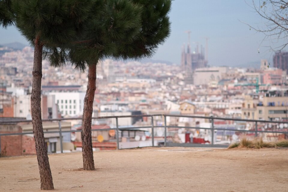 Catalonia cathedral city