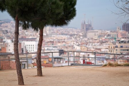 Catalonia cathedral city