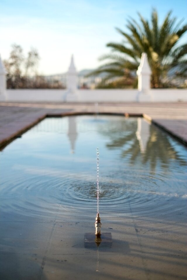 Summer peaceful reflection
