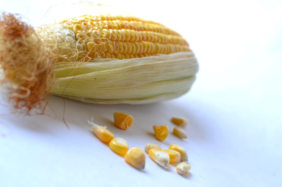 Grain organic harvest