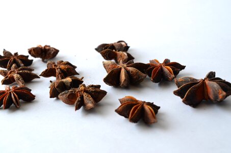 Star anise brown flavor photo