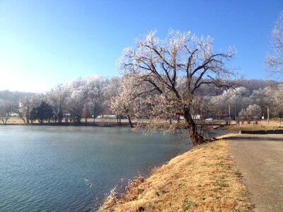 Winter frost