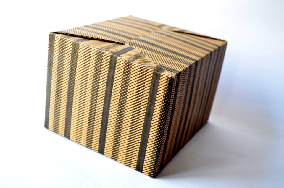 Cardboard package isolated