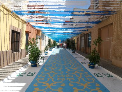 Festivities fiesta basil working party