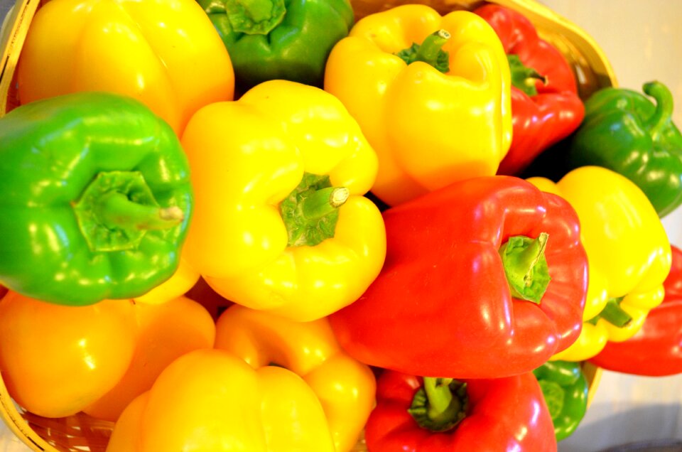Fresh vegetarian cooking