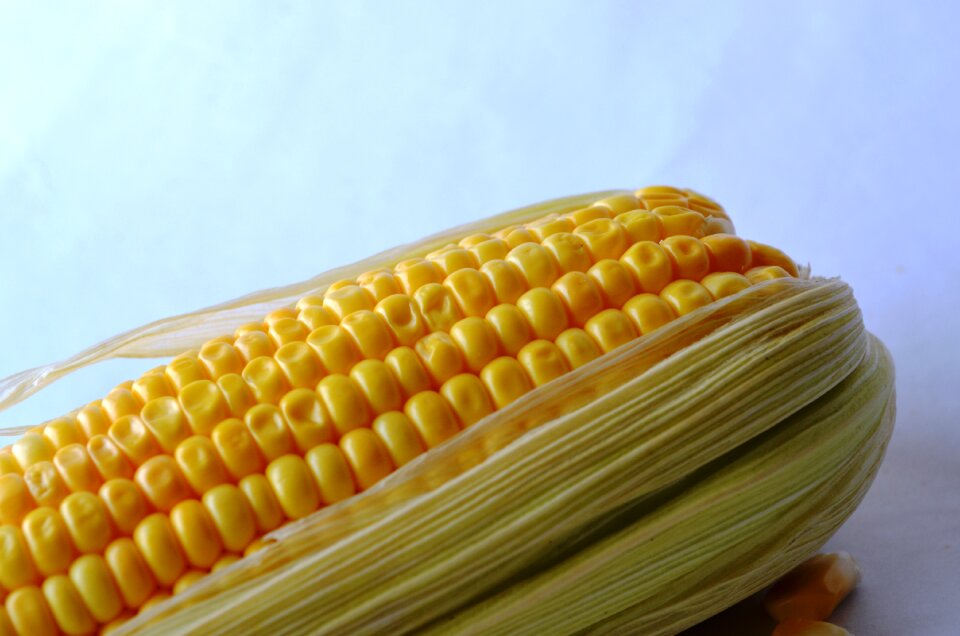 Grain organic harvest