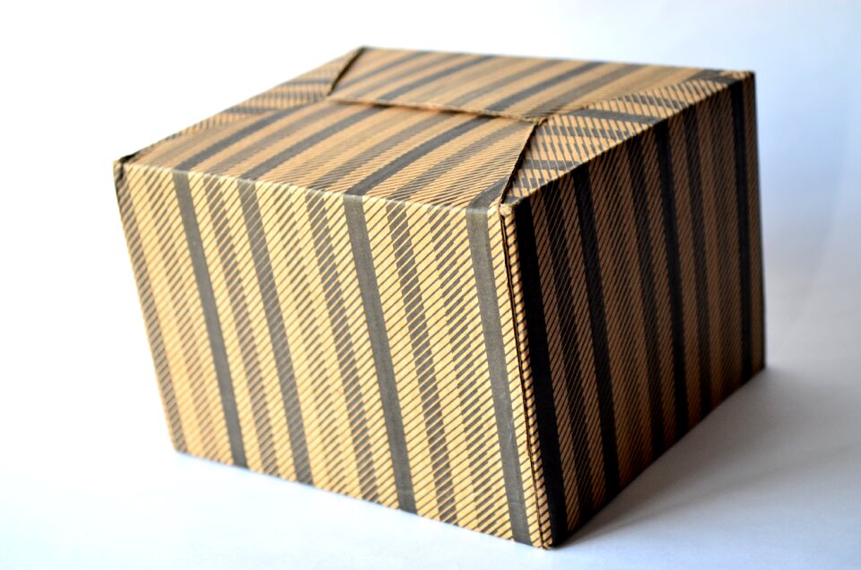Cardboard package isolated