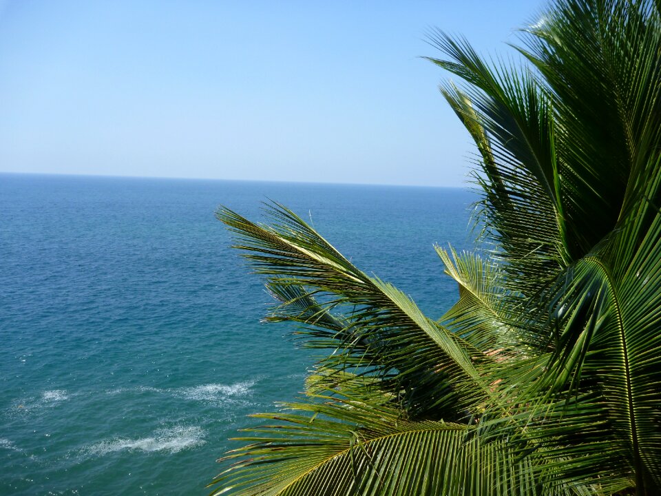 Ocean leaves