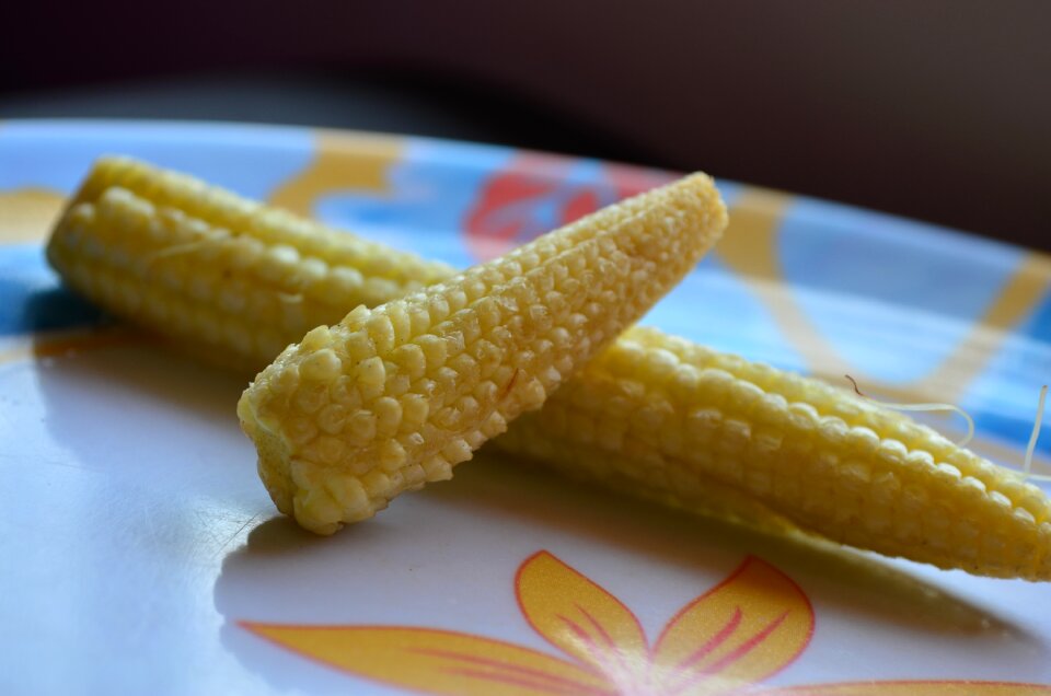 Vegetables healthy ingredient
