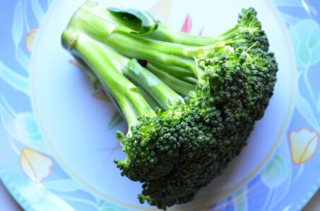 Food diet green