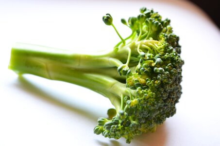 Food diet green