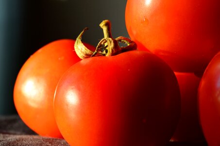 Fresh tomato organic photo