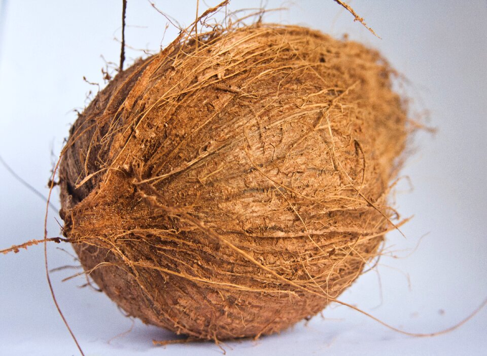 Snack ingredient nutrition