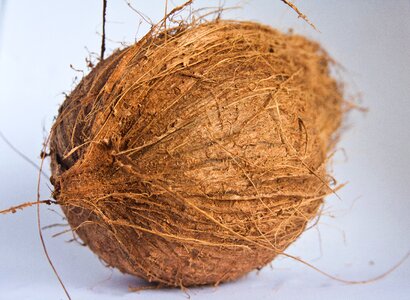 Snack ingredient nutrition