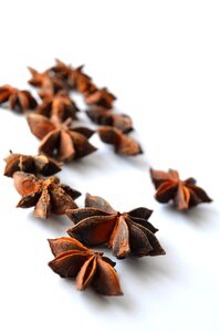 Star anise brown flavor photo