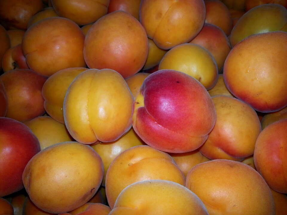 Fruit cot healthy