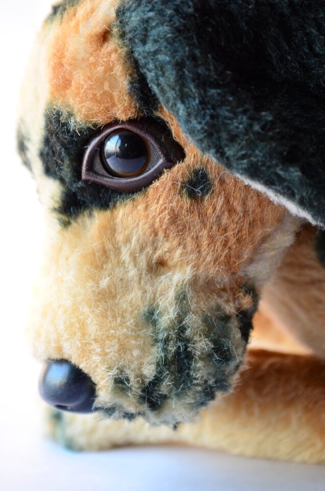 Soft toy cute