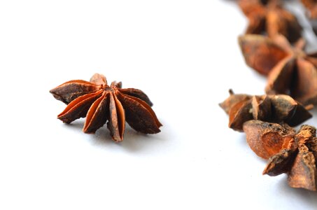 Star anise brown flavor photo