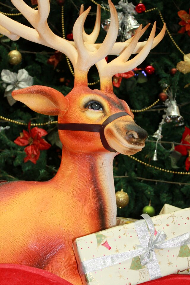 Tree gifts xmas